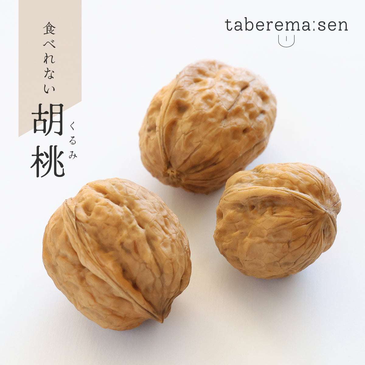 まるで本物。リアルな食品サンプル 食べられない くるみ 3個セット