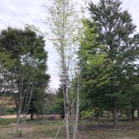 c7b47d42be8b1352a4aefd3bcc7898