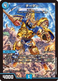 状態B〕チアスペースアカネ【VR】{23RP313B/22}《多》