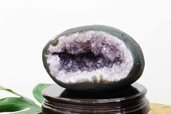 高品質 ウルグアイ産 アメジスト カペーラ ドーム型 | ハワイ