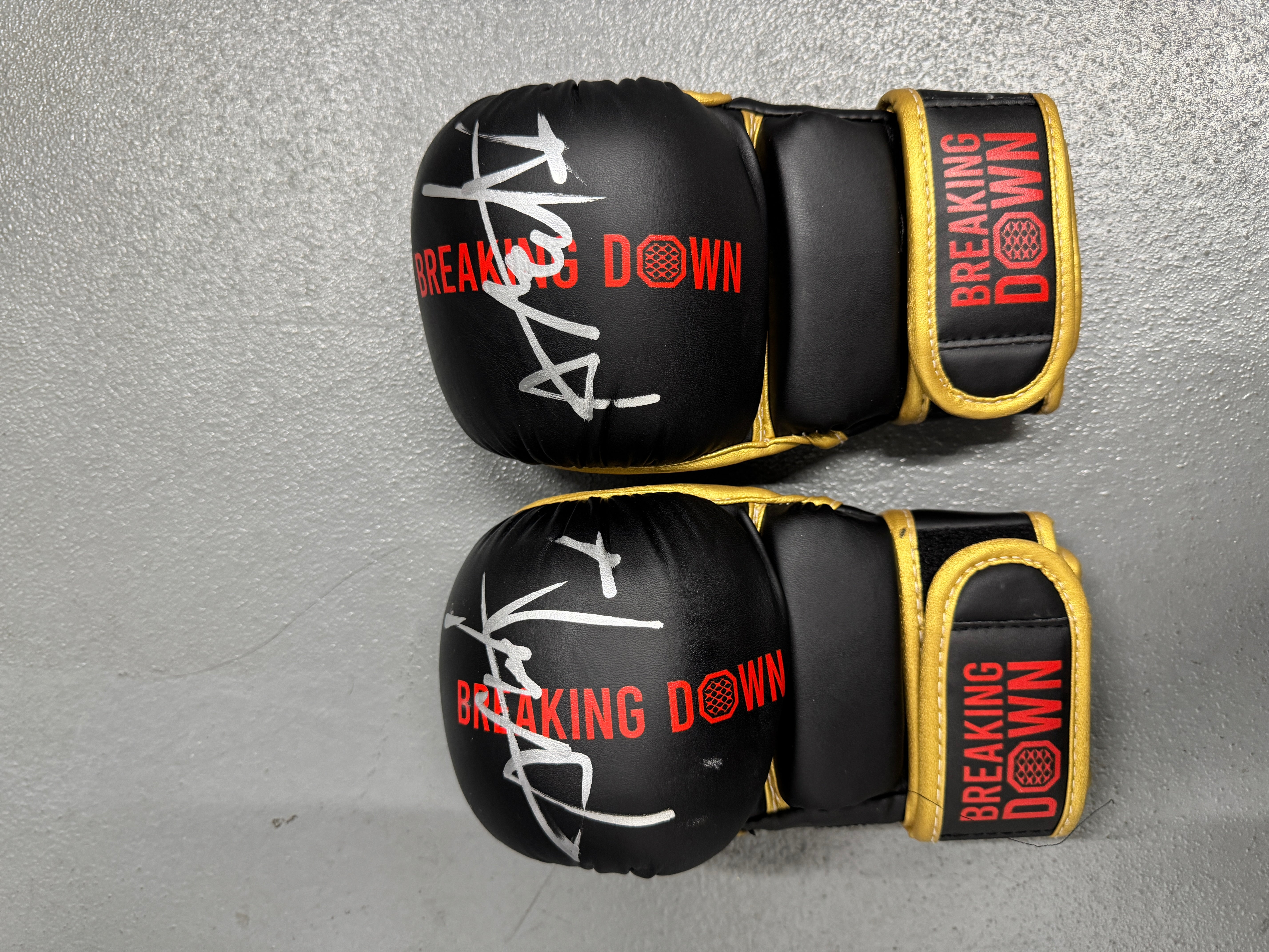 BreakingDown17 大野篤貴選手サイン入りグローブ – BreakingDown