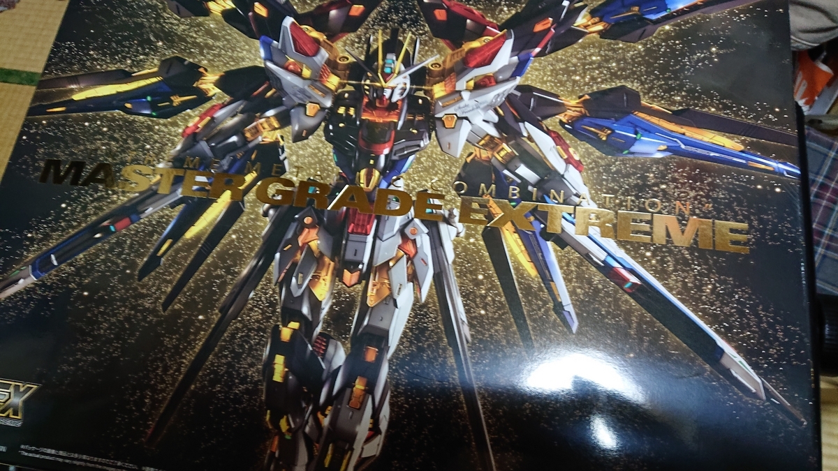 MGEXストライクフリーダム制作記(序) 出会いと素組 - そうねんのんびり