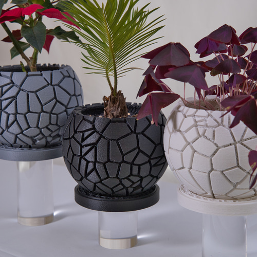 植木鉢】岩肌を纏う、高機能3Dプリンター鉢 