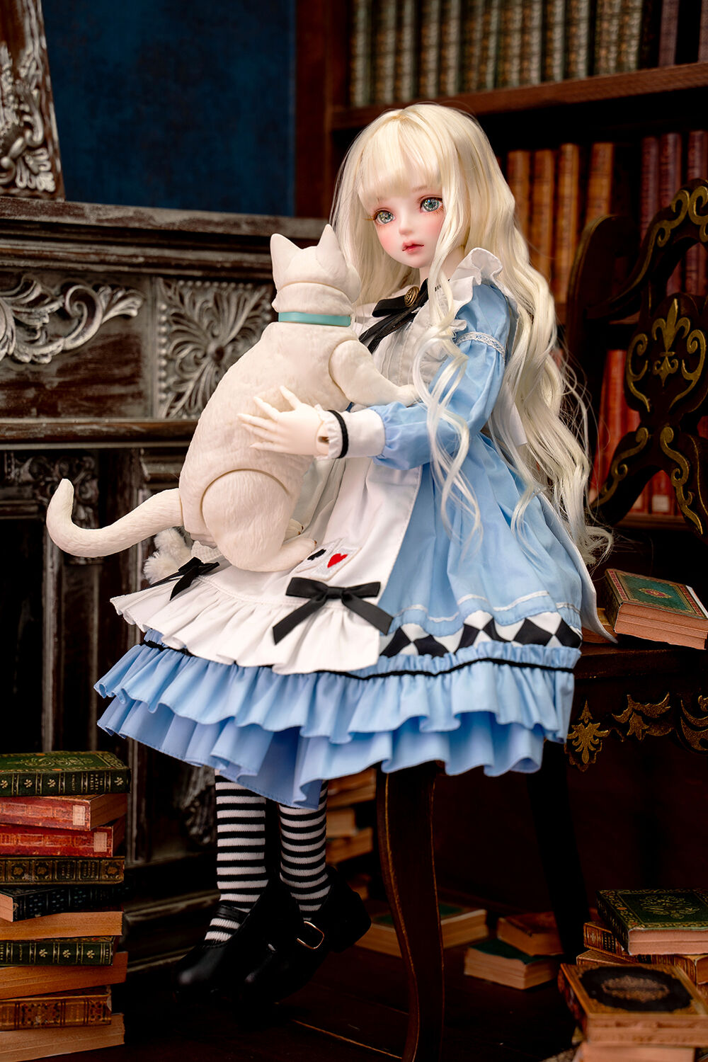 DOLK×MYOU DOLL] Delia - Alice in Wonderland ver. Limited