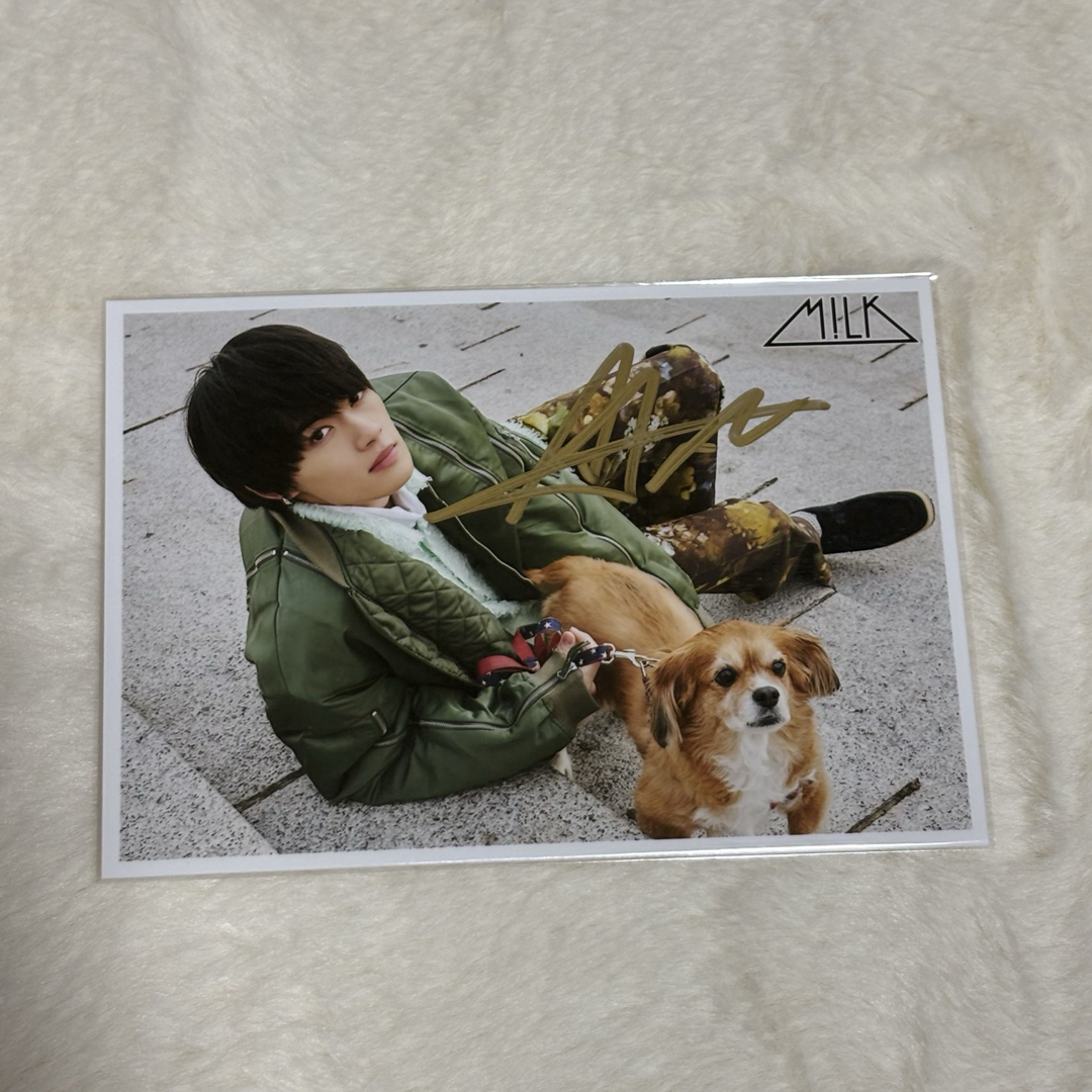 BABYL LEGEND特大パネル BABYL【LEGEND特大パネル】新品 【公式通販】