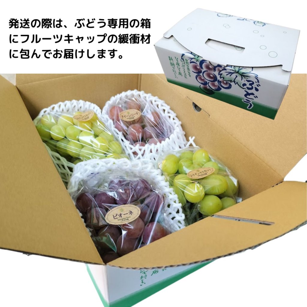 ぶどう3種詰め合わせ約2kg 3〜5房入り 税込3850円 | 親バカトマト 助川