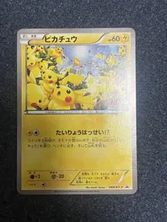 ピカチュウ PROMO XYシリーズプロモーションカード PROMO 069/XY-P