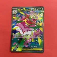 2026年最新】メガメガニウム ex SARの人気アイテム - メルカリ