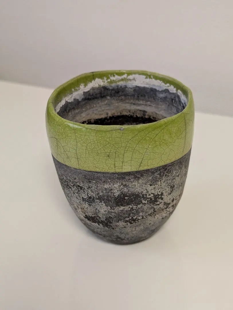 2026年最新】domani ドマーニ 鉢の人気アイテム - メルカリ