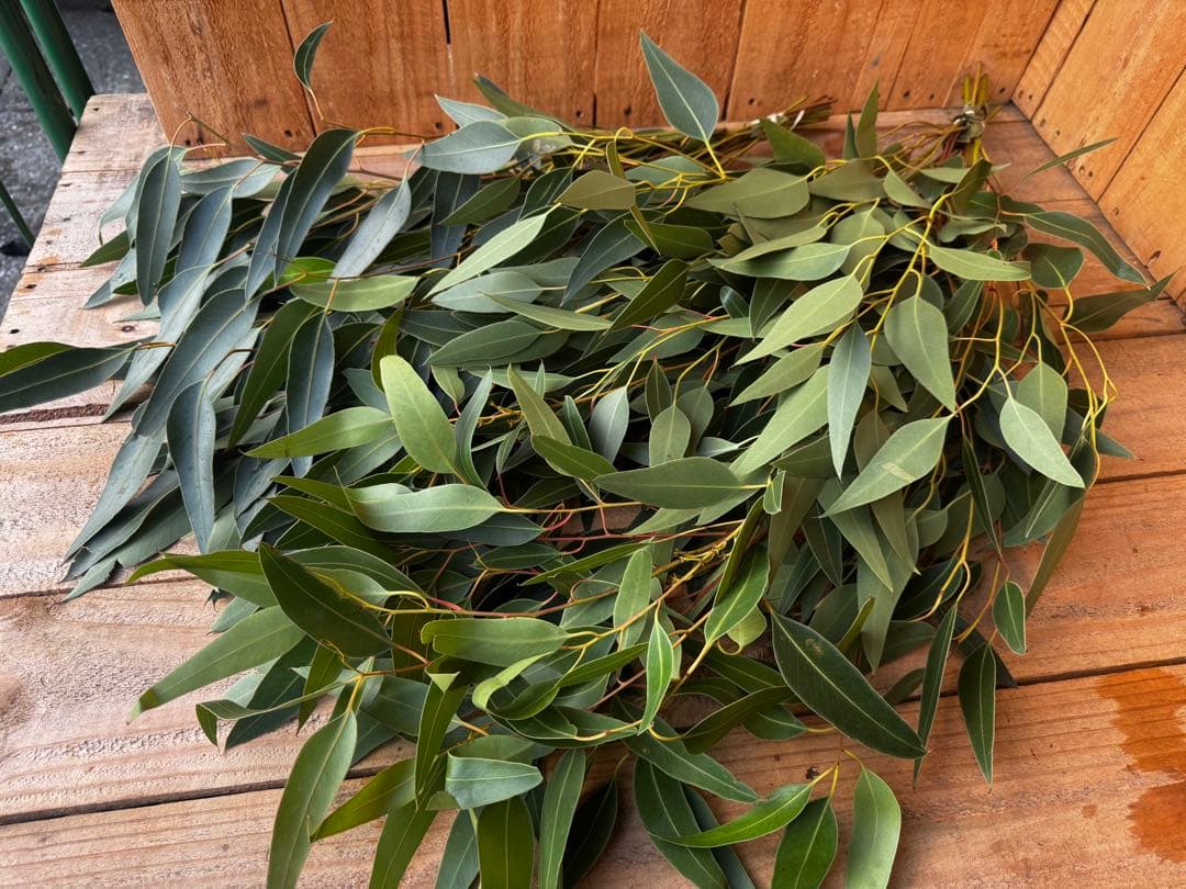 Shi-u☘️クローバー様 リクエスト 2点 まとめ商品 clover様 リクエスト 2点 まとめ商品 - メルカリ