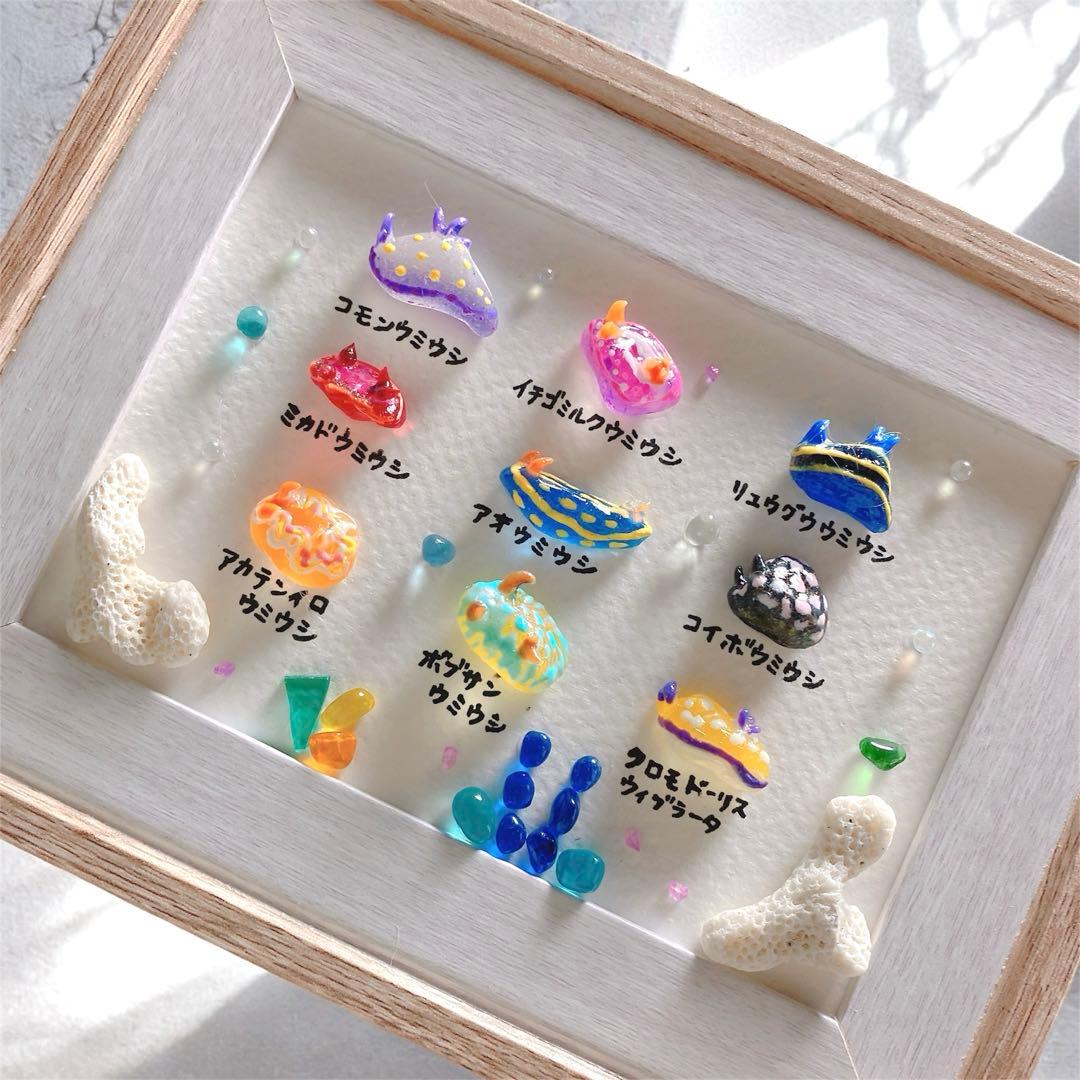 ウミウシ図鑑♡9種❣️3800円 ガラスアート シーグラスアート 海ギフト