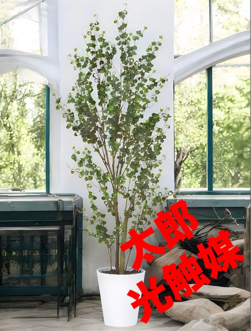 光触媒　人工観葉植物　フェイクグリーン　東北ベンジャミンバロック150 フィカス・ベンジャミンバロック - フェイクグリーン専用通販サイト