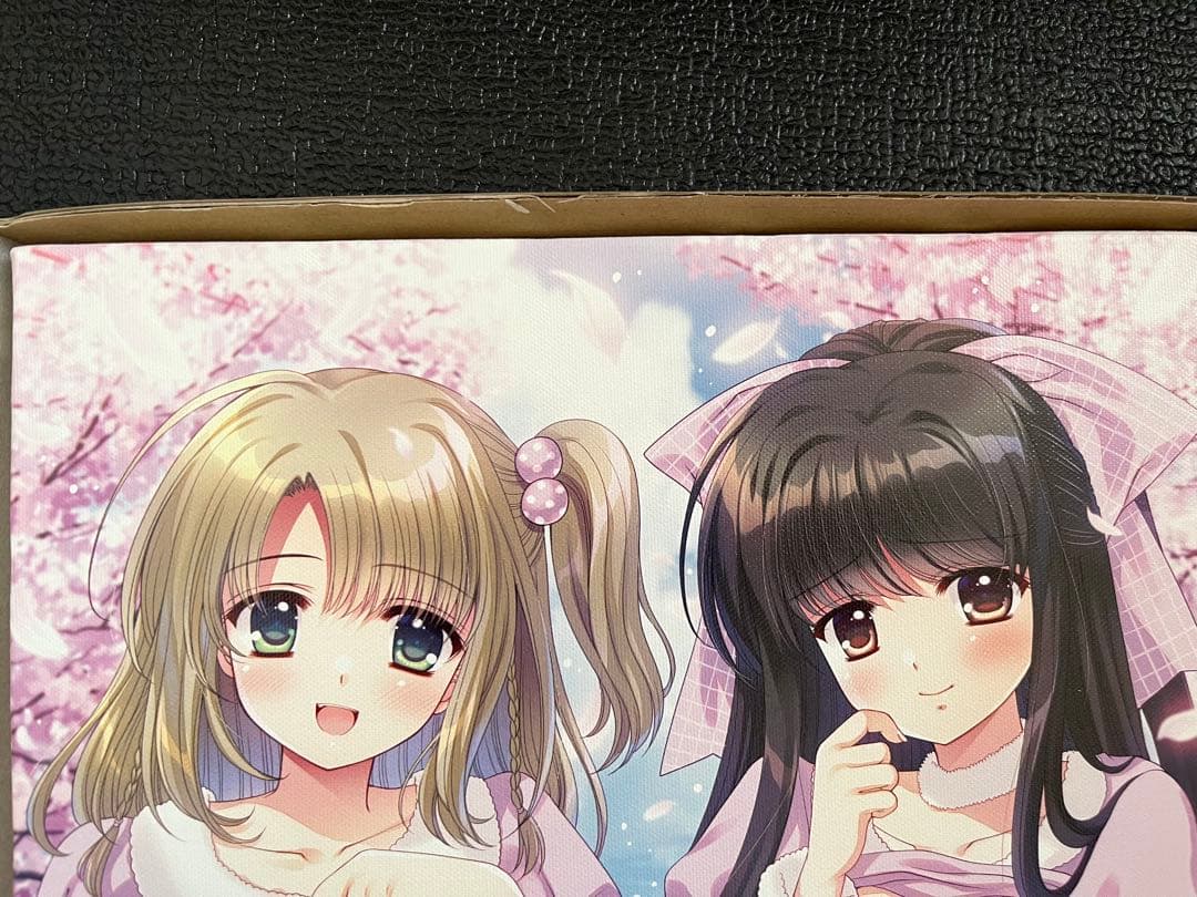 それは舞い散る桜のように ソフマップ特典西又葵直筆サインキャンバスアート Amazon.co.jp: 【Amazon.co.jp 限定】それは舞い散る桜のように-Re
